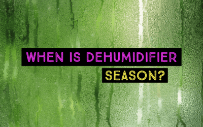 WHEN IS DEHUMIDIFIER SEASON?   